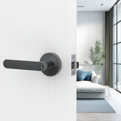 Jun Lever Handle In Nickel Graphite