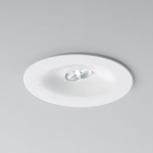 K9 Emergency Light
