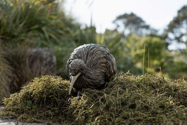 Kiwi by Bespoke Sculpture