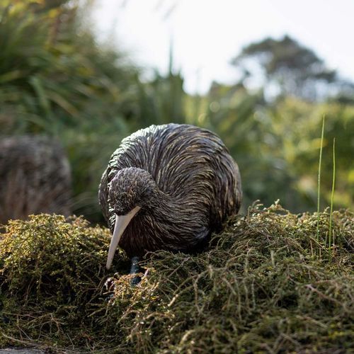 Kiwi by Bespoke Sculpture