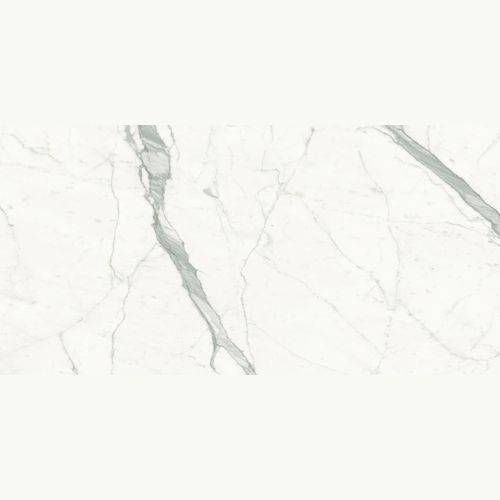 Bianco Venato