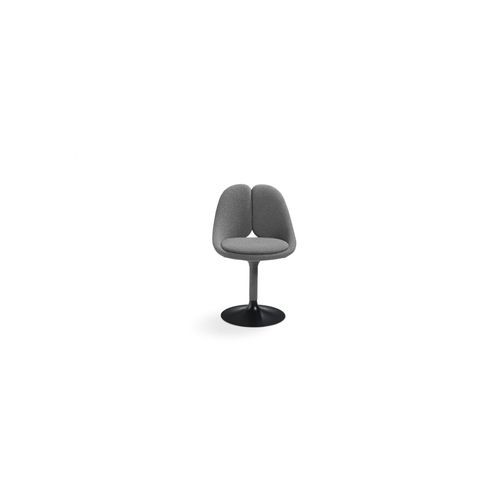 QISS
 Dining armchair in ash wood