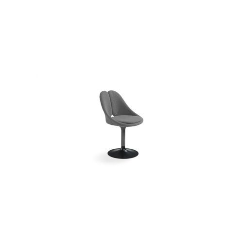 QISS
 Dining armchair in ash wood