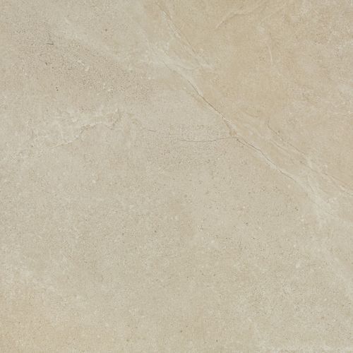 Gecko | Magic Stone Sand Tiles