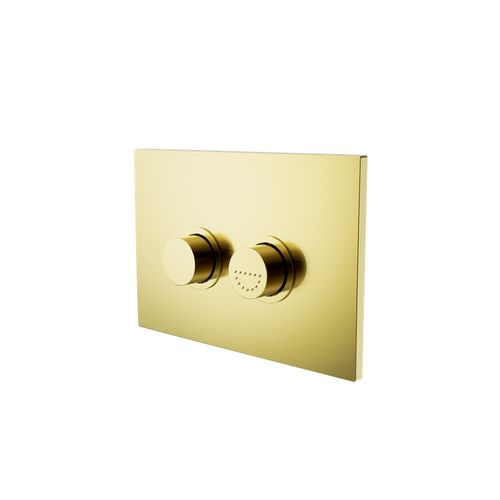 Mecca Care Raised Disabled Care Pneumatic Flush Buttons Plate DDA Compliant  Brushed Gold