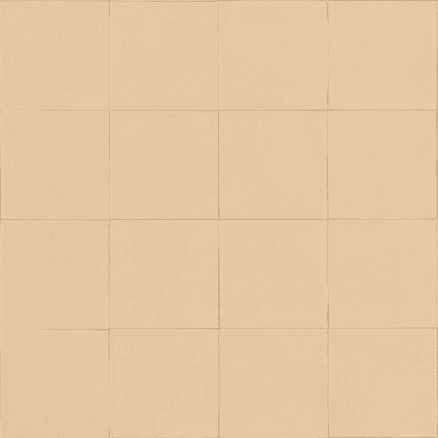 CARTER NUDE MATT 100X100MM