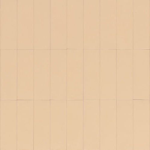 CARTER NUDE MATT 150X50MM