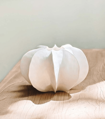 Pod Vase / White