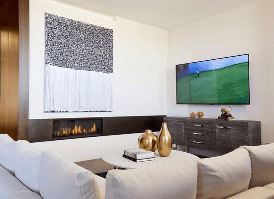 Ortal 110 Front Facing Gas Fireplace
