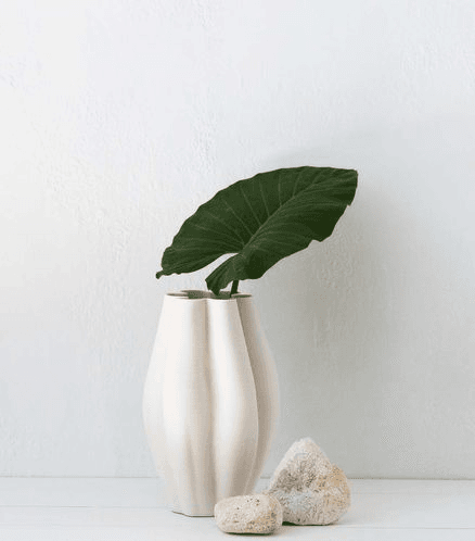 'La Mer' Vase / Medium / Ivory
