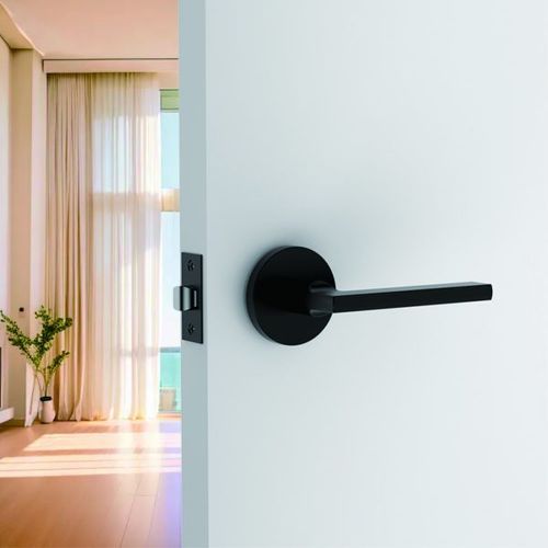 Raglan Lever Handle In Matt Black