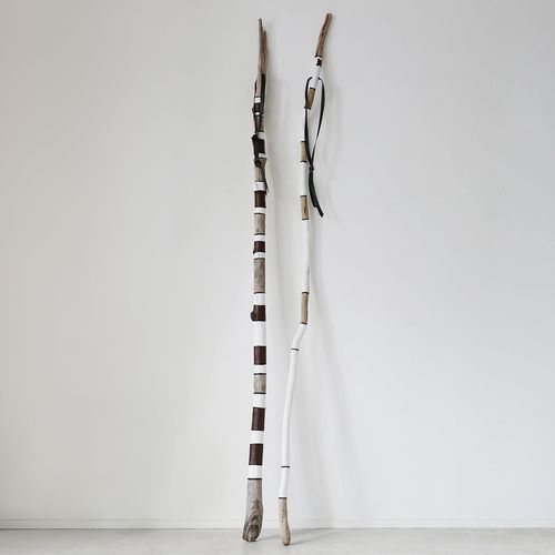 'Rakau Waiapu' Art / Artist-Erika Holden