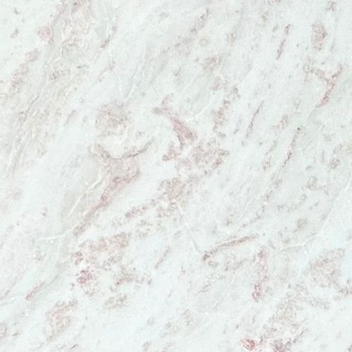 Rhino Pink | Marble | Honed