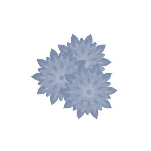 Chrysanthemum Tea