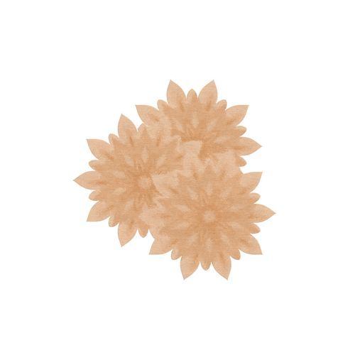 Chrysanthemum Tea