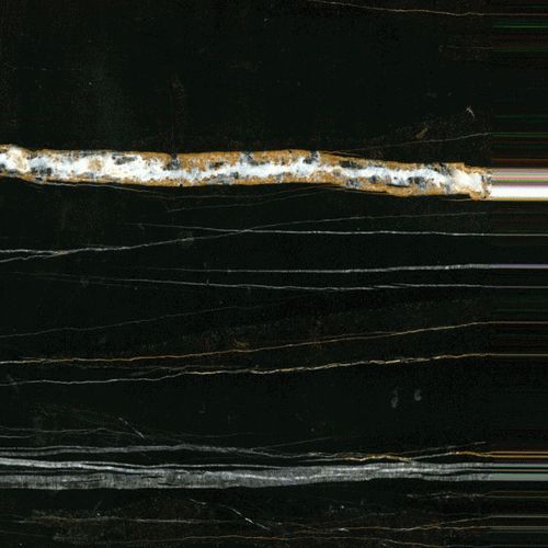 Sahara Noir