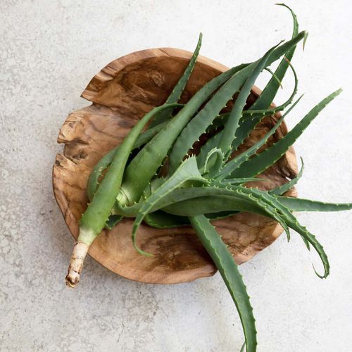 Salvaged Teak Bowl