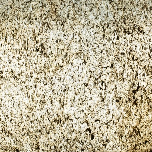 Desert Gold (Translucent) Natural Thin Stone Veneers