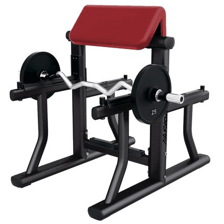 Signature | Arm Curl Bench