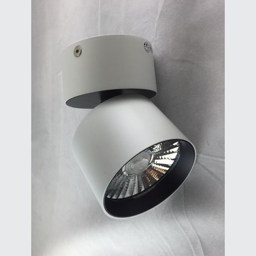 LED Surface Mounted Omni-Directional (Short) Downlight
