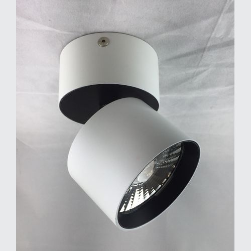 LED Surface Mounted Omni-Directional (Short) Downlight