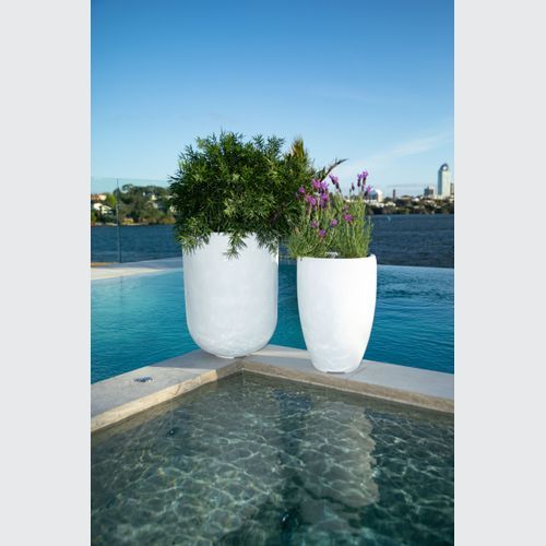 Franoma - Tampa Planter
