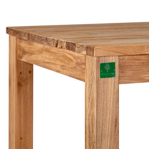 Teak Square Counter Height Table