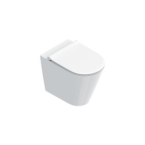Zero Rimless Floor Mount Toilet