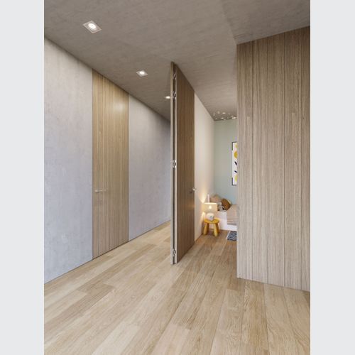 Arlu® (Argenta) Invisible Tyo Door Hinge