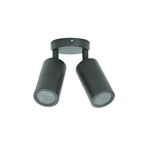 Twin Adjustable Outdoor Wall Light