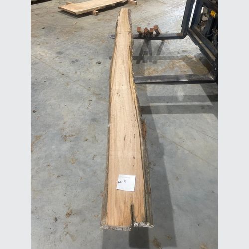 Eucalyptus Slabs