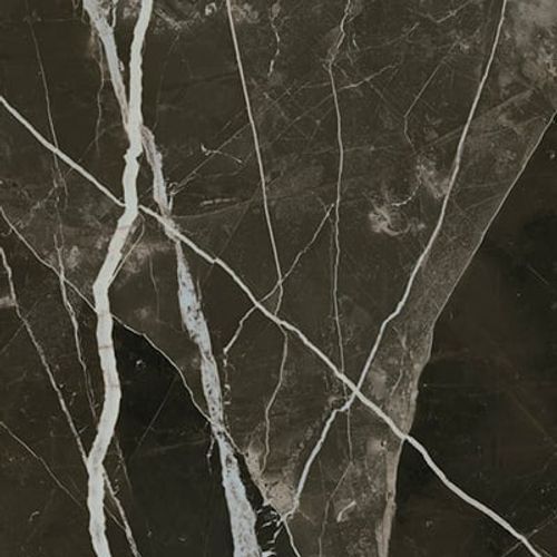 Calacatta Black
