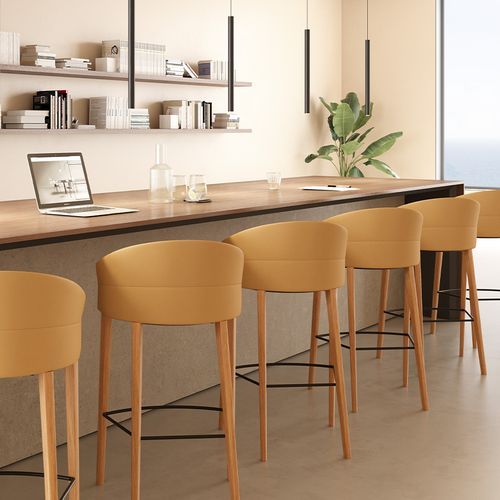 Copa Counter Stool - Wooden Legs