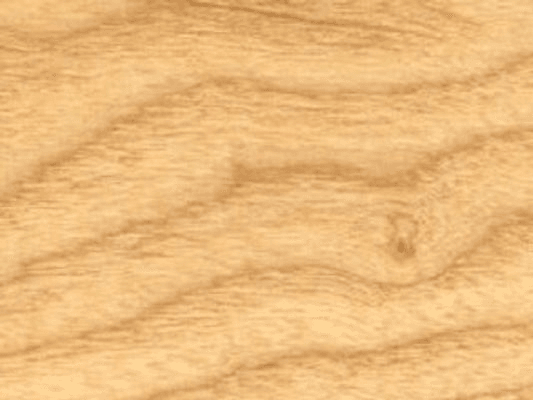 American White Ash