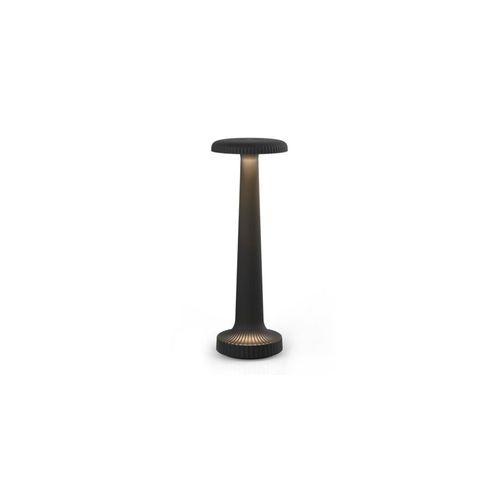 NEOZ Tall Poppy