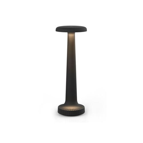 NEOZ Tall Poppy