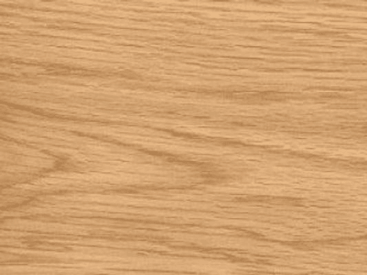 American Red Oak