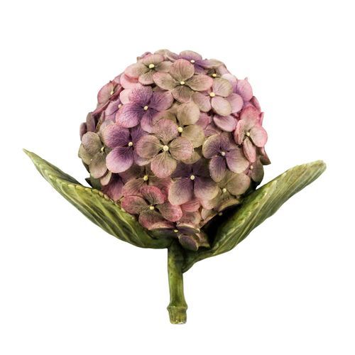 Hydrangea Purple/Pink