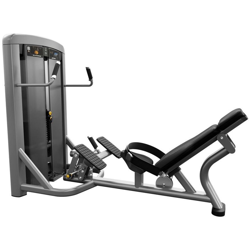 Insignia | Series Glute Bridge