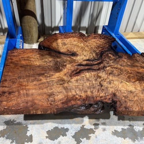 Swamp Kauri Slabs