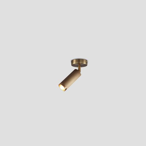 Spot Ceiling Light