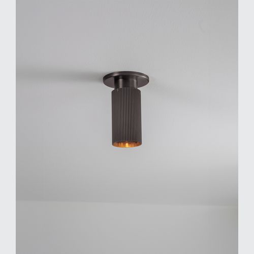 Spot Pro Mini Ceiling Light