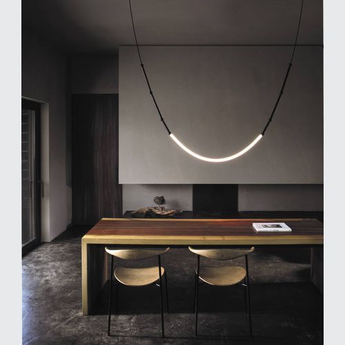 Leda Curve Pendant Light