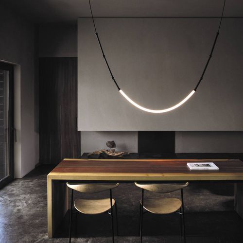 Leda Curve Pendant Light