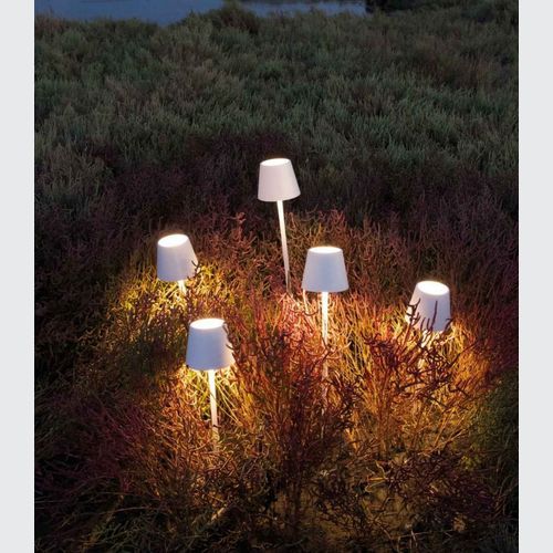 Poldina Table Lamp