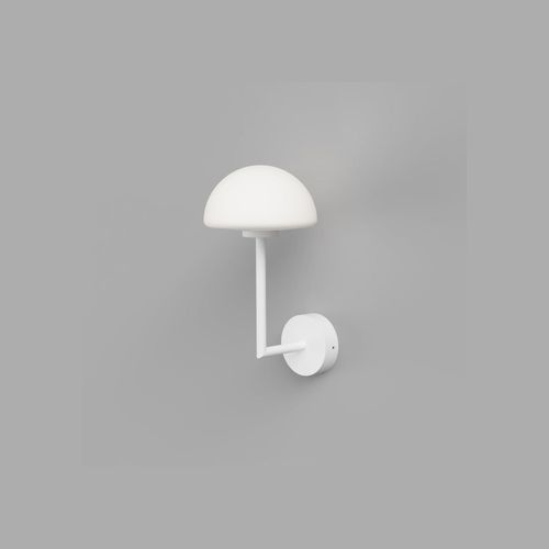 Orb Dome Long Arm Wall Light