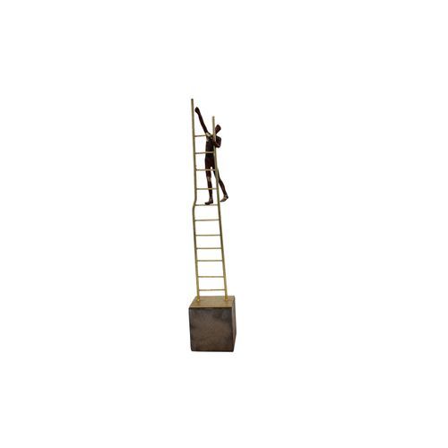 Man Climbing On Ladder