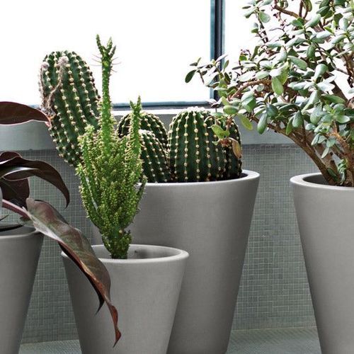 New Pot