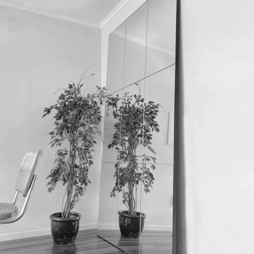 Panel Mirror