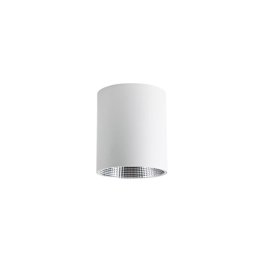 MOTU DL169 Surface Downlight